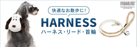 ペットと始める新生活　ウェルカムフェア♪ | 【通販】雑貨とペット用品の通販サイト | マザーガーデン＆ペットパラダイス