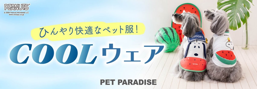 クールウェア