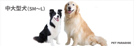 🎁【数量限定】ハーフブランケットプレゼント🐶 | 【通販】雑貨とペット用品の通販サイト | マザーガーデン＆ペットパラダイス
