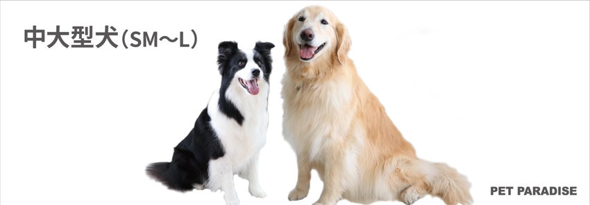 中型＆大型犬　ドッグウェア、雑貨など