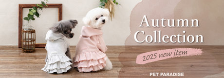 🎁【数量限定】ハーフブランケットプレゼント🐶 | 【通販】雑貨とペット用品の通販サイト | マザーガーデン＆ペットパラダイス