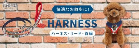 🎁【数量限定】ハーフブランケットプレゼント🐶 | 【通販】雑貨とペット用品の通販サイト | マザーガーデン＆ペットパラダイス