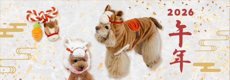 🎁【数量限定】ハーフブランケットプレゼント🐶 | 【通販】雑貨とペット用品の通販サイト | マザーガーデン＆ペットパラダイス