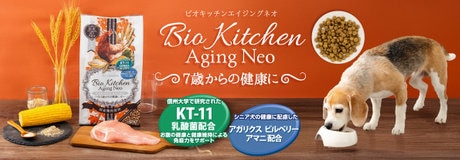 7月メルマガ登録キャンペーン | 【通販】雑貨とペット用品の通販サイト | マザーガーデン＆ペットパラダイス