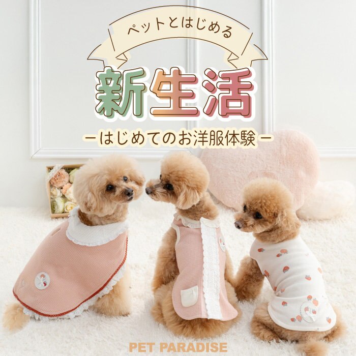 はじめてのお洋服