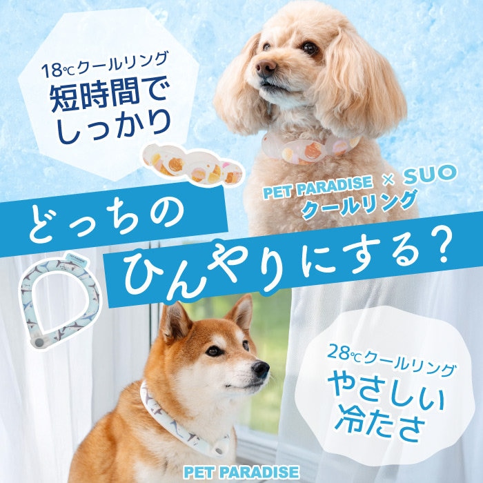 愛犬のための選べるひんやり、2つのクールリングが登場！