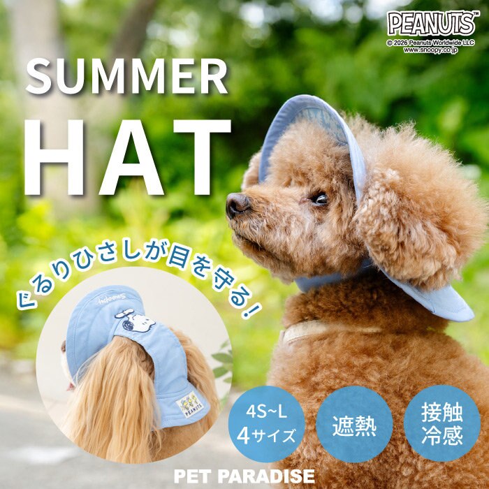 暑い日差しから愛犬を守ろう！新作サマーハット
