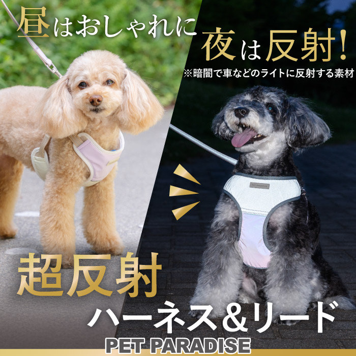 夜のお散歩も安心！新作 超反射ハーネス
