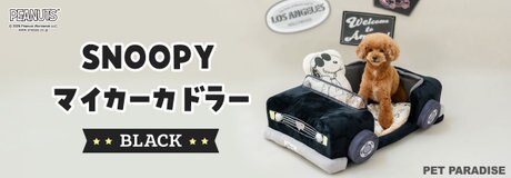 PEANUTSの「ベースボールコレクション」が登場！ | 【通販】雑貨とペット用品の通販サイト | マザーガーデン＆ペットパラダイス