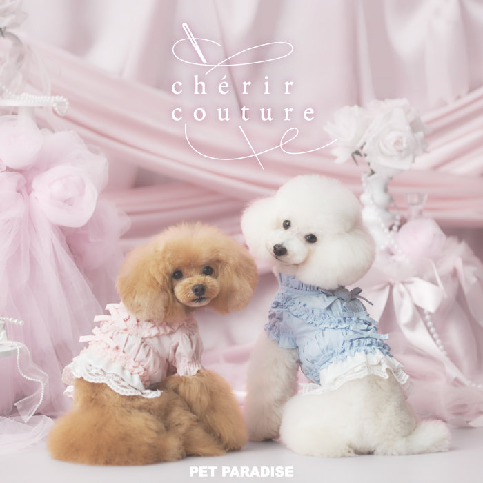 9/11(金)発売開始　cherircouture 2026 秋物新作