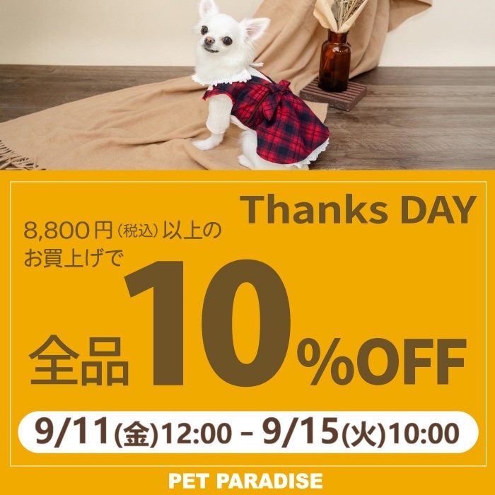 9月11日～期間限定！Thanks day 10%OFF
