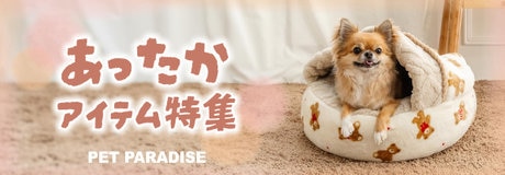 10月16日～期間限定！Thanks day 10%OFF | 【通販】雑貨とペット用品の通販サイト | マザーガーデン＆ペットパラダイス